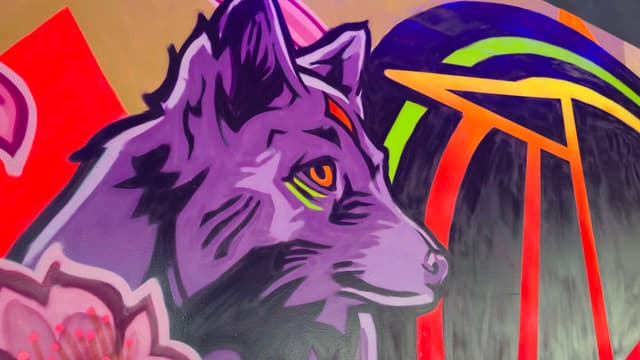 Black Swan Yoga - Cedar Park